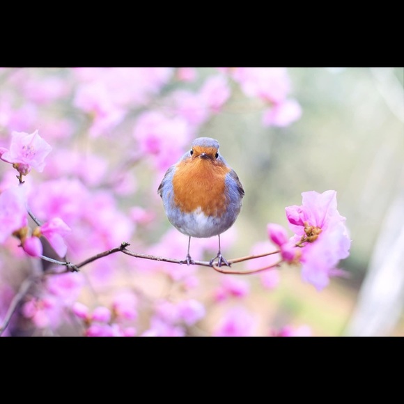 Meet your Posher, Jennifer - Picture 1 of 1